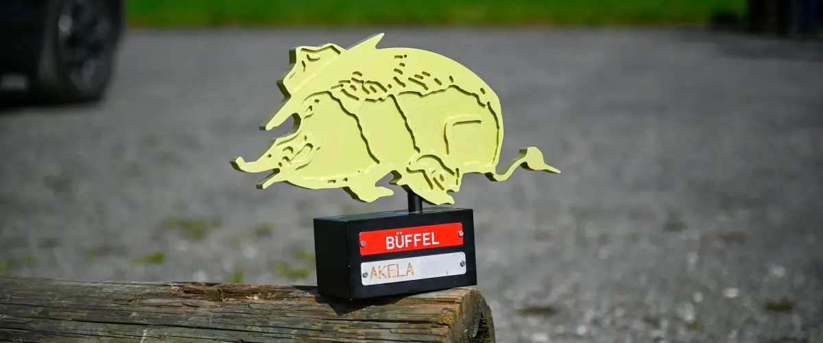 Bild für BiPi-Lauf 2026